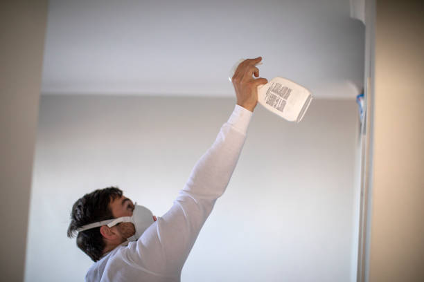 Best Commercial Mold Removal  in Eldon, MO