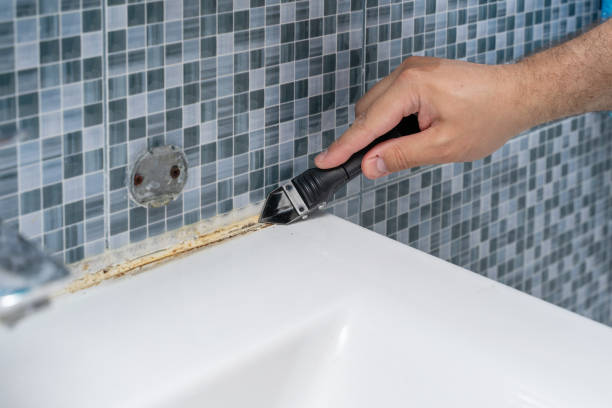 Best Mold Removal Specialists  in Eldon, MO